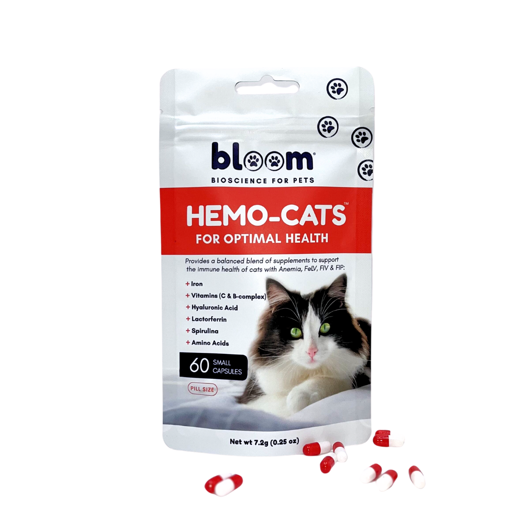 Anemic cat diet best sale